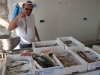 Kvarner: BASKA auf Krk > Mini-Fischmarkt