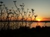 KRK > Konobe > Sonnenuntergang