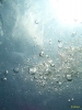 Istrien: RAVNI > Aufsteigende Luftblasen beim Tauchen