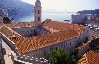 Dubrovnik > Altstadt > Dominikanerkloster