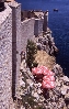 DUBROVNIK > Altstadt > Stadtmauer > Blick auf Felsen mit Lokal