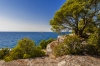 Istrien: ROVINJ > Blick von der Steilküste