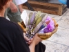 Dalmatien: SPLIT - Lavendelverkauf
