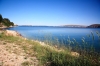 Dalmatien: INSEL PAG > Vlasici