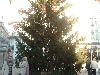 ZAGREB > Donji Grad > Platz Ban Jelacic - Weihnachtsbaum