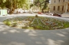 ZAGREB > Donji Grad > Blumen im Park