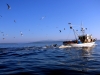 Nähe Vela Luka: Fischer in der Morgensonne am Weg in den Hafen