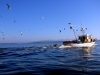 Nähe Vela Luka: Fischer in der Morgensonne am Weg in den Hafen Nähe Vela Luka: Fischer in der Morgensonne am Weg in den Hafen
