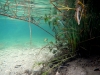 Kvarner: NP PLITVICER SEEN > Unterwasser 2 Kvarner: NP PLITVICER SEEN > Unterwasser 2