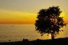 Istrien:Porec>Küste bei Sonnenuntergang