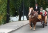 BLED AM SEE > Pferdekutsche