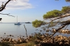 Dalmatien: MOLAT auf Otok Molat > Badebucht