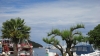 Istrien: Vrsar > Bäume am Hafen
