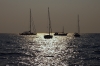 Istrien:ROVINJ>In der Bucht