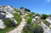 Dalmatien: PELJESAC > Wanderung auf den Sv. Ilija > kurz vor dem Gipfel
