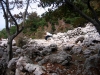 Kvarner: BAŠKA/Krk > kleine Rast am Weg zum Mond Kvarner: BAŠKA/Krk > kleine Rast am Weg zum Mond