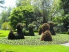 * Deutschland: INSEL MAINAU (Bodensee)