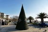 Dalmatien>Der Weihnachtsbaum von Tucepi