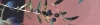 Header > Oliven Header > Oliven