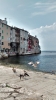 Isrtien: ROVINJ > Möwen