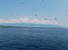 KVARNER: Nähe Insel Goli Otok> Wolken