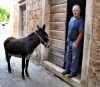 Dalmatien:Insel Vis> Esel und Herrchen