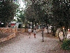 Rovinj Valalta Campingplatz