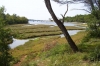 Wanderung nach Tar > Bucht Sveta Marina