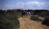 VODICE > Wanderweg nach Tribunj VODICE > Wanderweg nach Tribunj