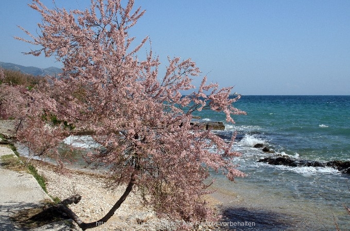 OREBIC > Uferpromenade