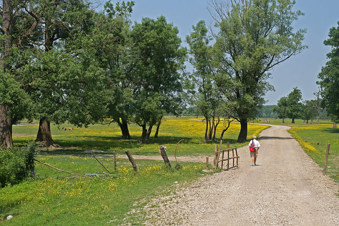 11a_Muzilovcica_068_5ps680.jpg