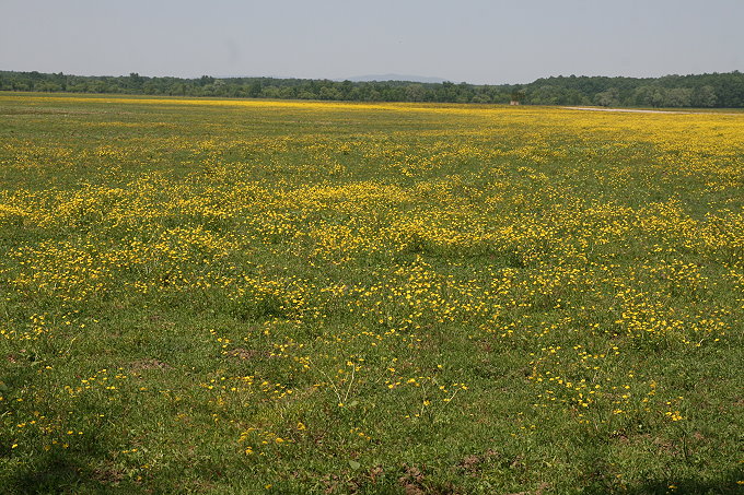 11b_Muzilovcica_068_11680.jpg