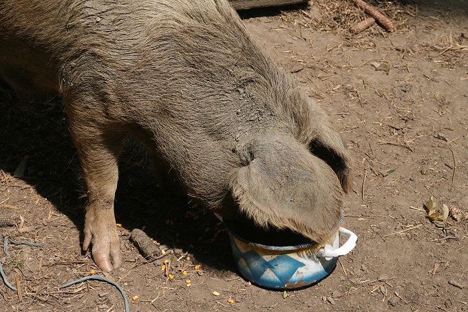25Muzilovcica_068_14680.jpg