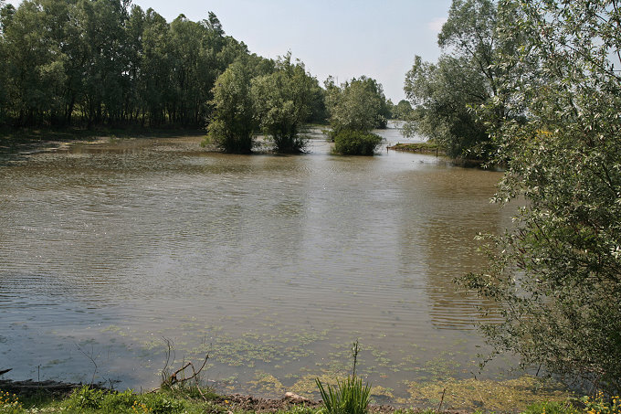 39Muzilovcica_068_29ps680.jpg