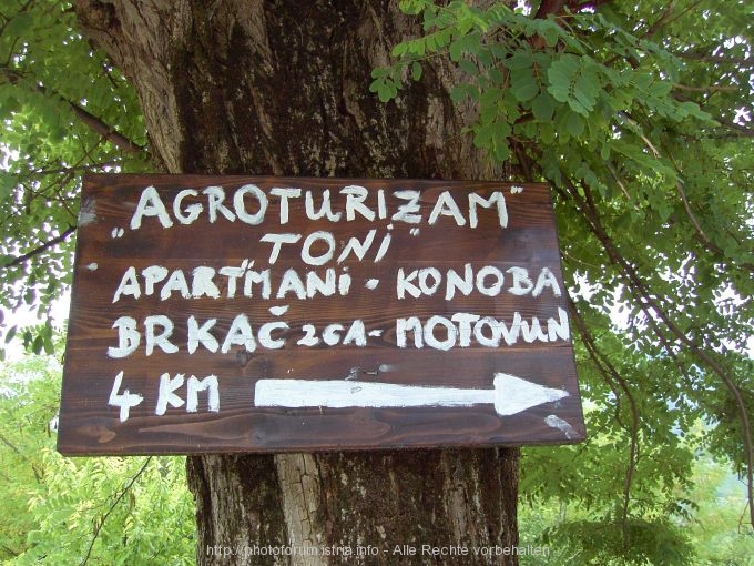 MOTOVUN > Agrotourismo Toni_1