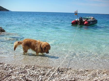 Traumstrand gefunden.....Insel Cres