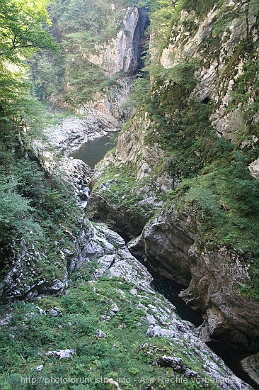 SKOCJANSKE JAME > Rückweg Höhlenausgang > Reka in der Karstdoline