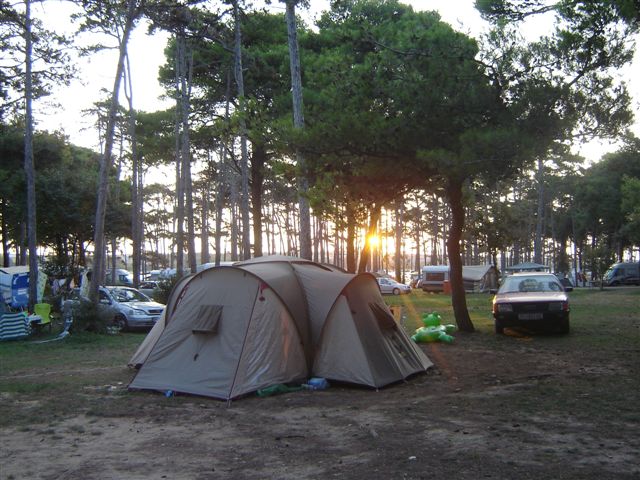 Guten Morgen am Campingplatz