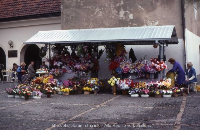 Blumenverkäuferinnen in Zagreb_Stari Grad