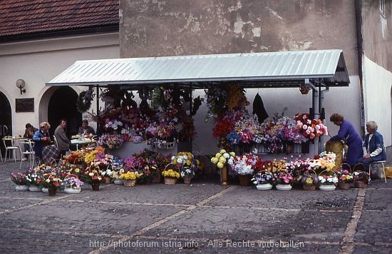 ZAGREB > herrlich bunter Blumenstand
