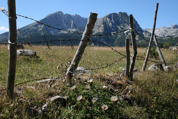 Rund um Zabljak 6