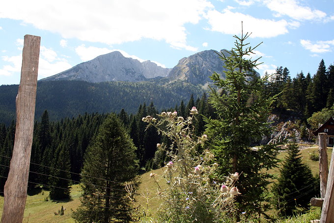 Rund um Zabljak 4