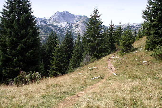 Rund um Zabljak 8