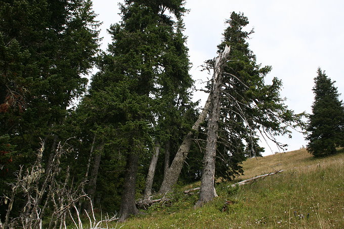 Rund um Zabljak 4