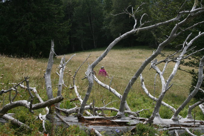 Rund um Zabljak 5