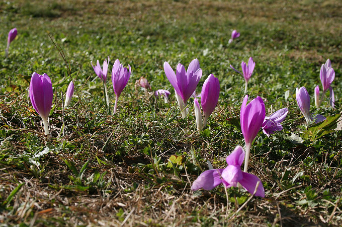 Rund um Zabljak 8