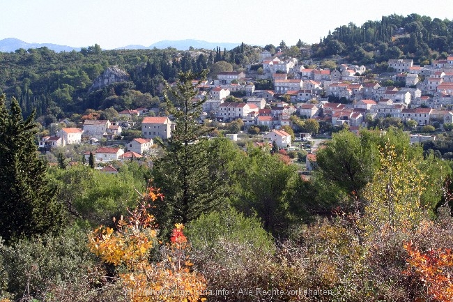 Fahrt über die Insel Korcula 5