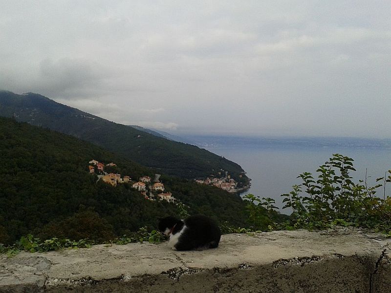 Istrien: Moscenice > Blick auf Ostküste