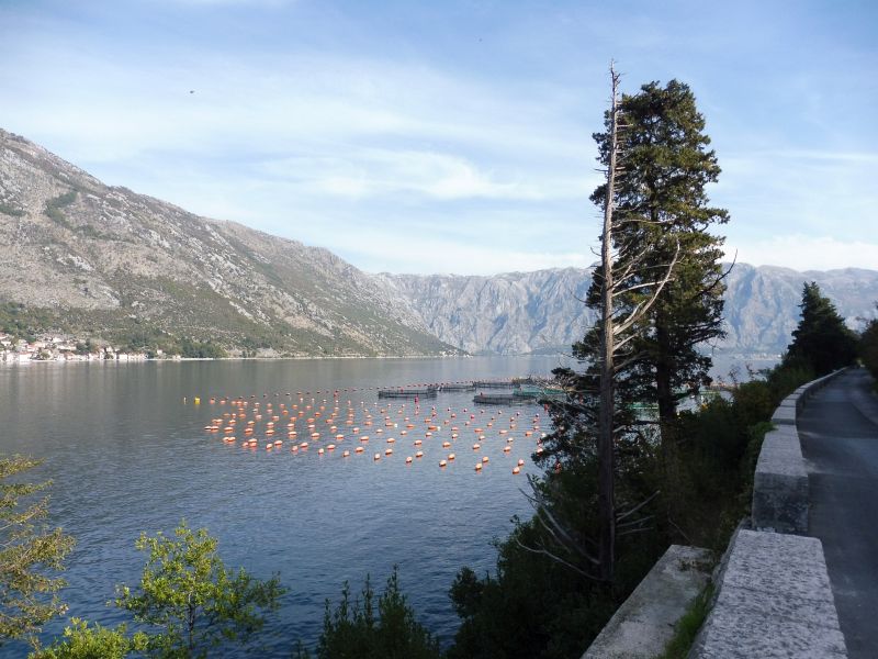 Bucht von Kotor 6