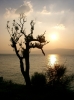 Otok Cres > Sonnenuntergang auf Kres